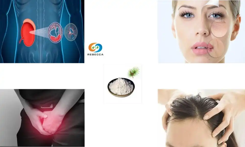 Balance Hormones Naturally with Saw Palmetto Extract
